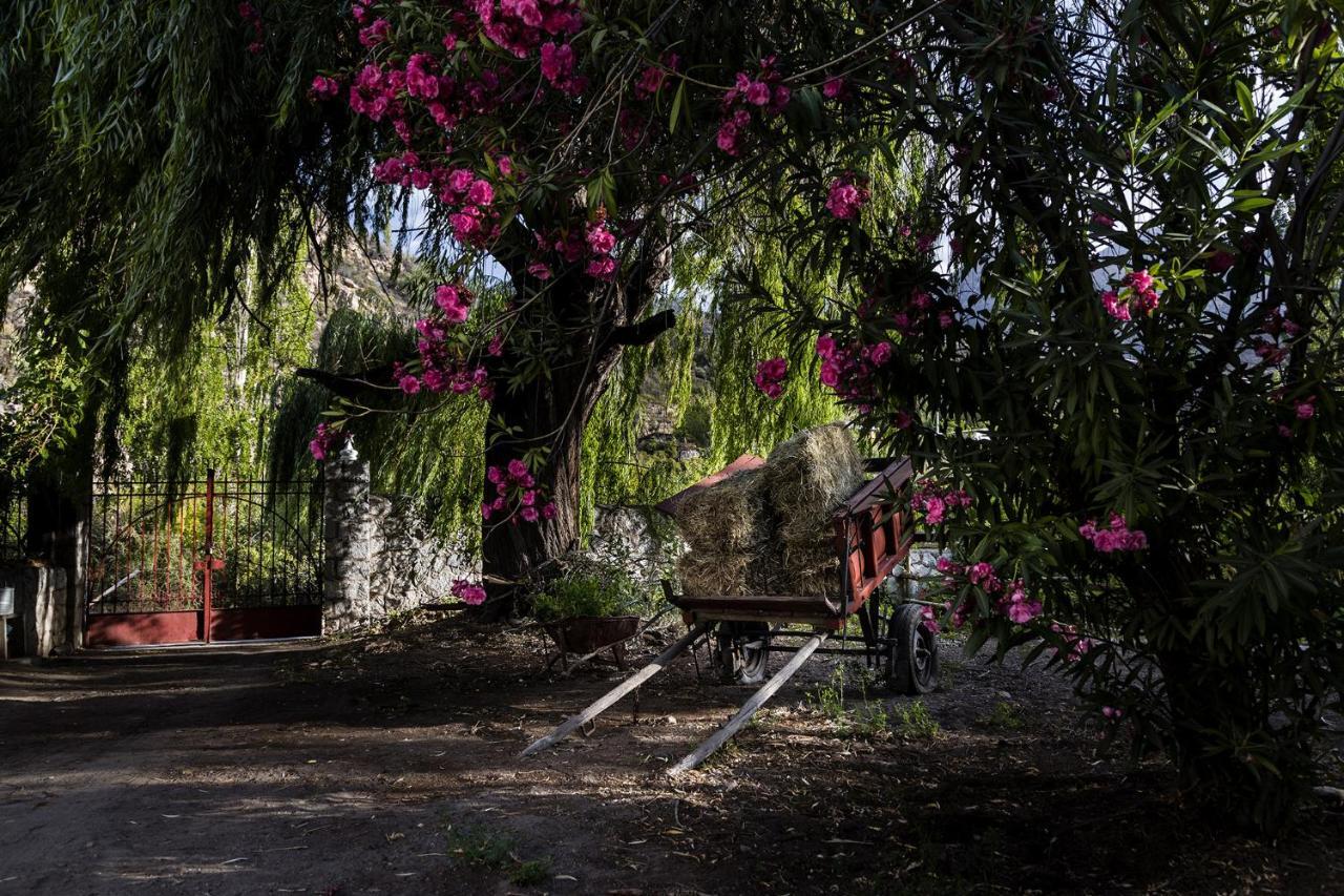 Bed and Breakfast Casona El Resguardo - Solo Adultos Rio Blanco Екстер'єр фото